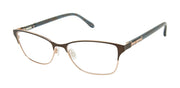 Lulu Optical L954 Brown/Rose Gold