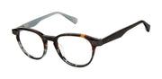 Ted Baker Optical TLM004 Tortoise
