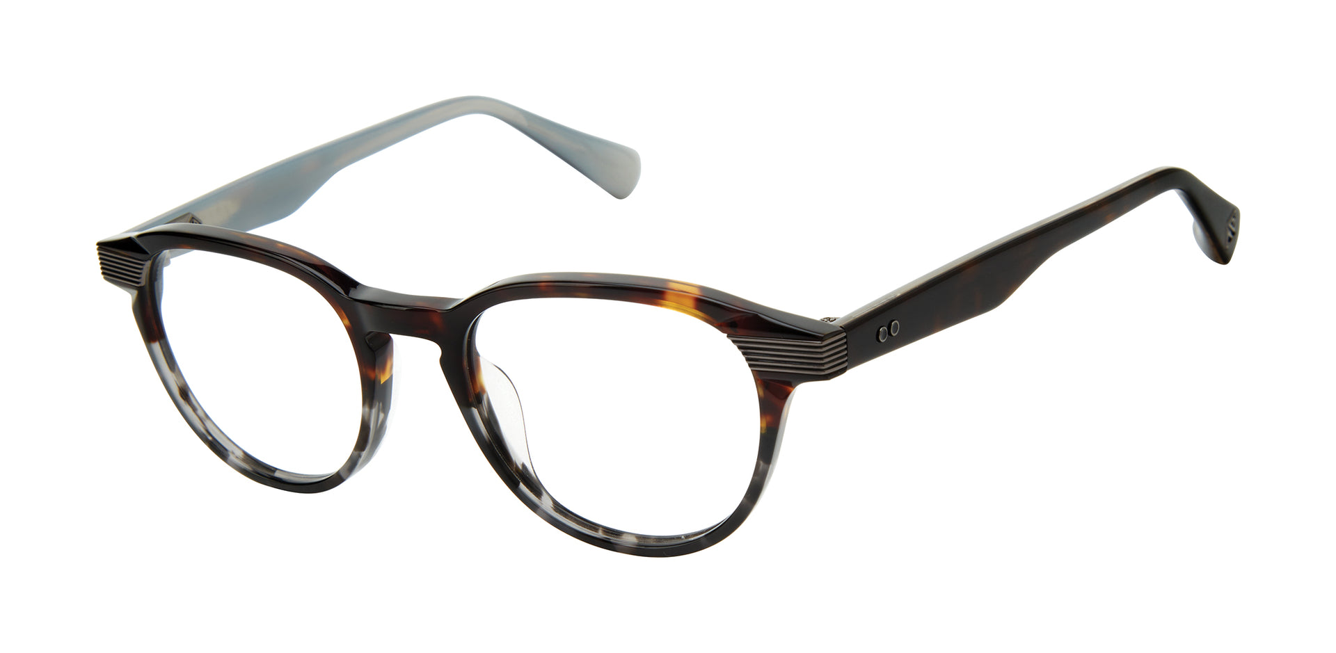 Ted Baker Optical TLM004 Tortoise