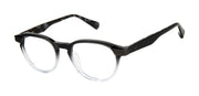 Ted Baker Optical TLM004 Grey