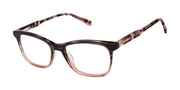 Superdry Women's Optical SDOW022T Brown