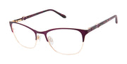 Lulu Optical L955 Burgundy / Rose Gold