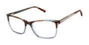 Ted Baker Optical TFW020 Blue Tortoise