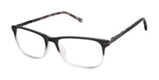 Ted Baker Optical TFM017 Black