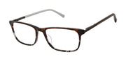 Ted Baker Optical TFM017 Tortoise Grey