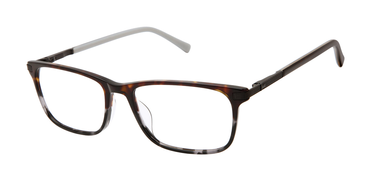 Ted Baker Optical TFM017 Tortoise Grey