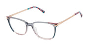 Superdry Women's Optical SDOW025T Grey