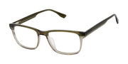 Botaniq Optical BIOM001 Olive