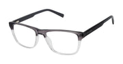 Ted Baker Optical TFM018 Grey