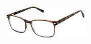 Buffalo Mens Optical BM036 Brown