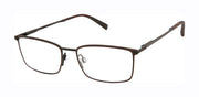Ted Baker Optical TM525 Brown