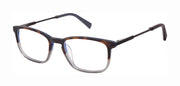 Ted Baker Optical TFM020 Tortoise Grey