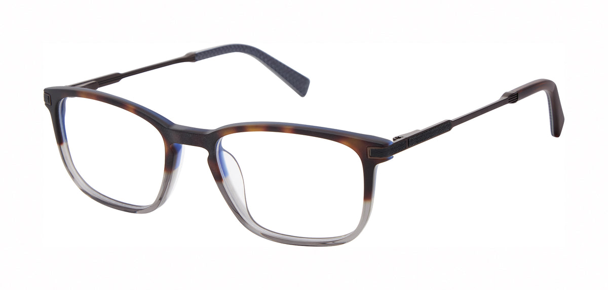 Ted Baker Optical TFM020 Tortoise Grey