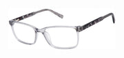 Ted Baker Optical TXL014 Grey
