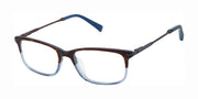 Ted Baker Kids TKB008 Tortoise