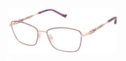 Tura R716 Eggplant
