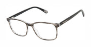 Caterpillar Optical CTO3095 Grey