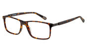 Caterpillar Optical CTO3037 Tortoise