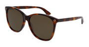 Gucci GG0024S Sunglasses - Havana / Brown (002)