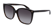 Gucci GG0022S Sunglasses - Havana / Brown (003)