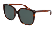 Gucci GG0022S Sunglasses - Havana / Green (002)