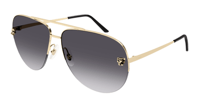 Cartier CT0065S