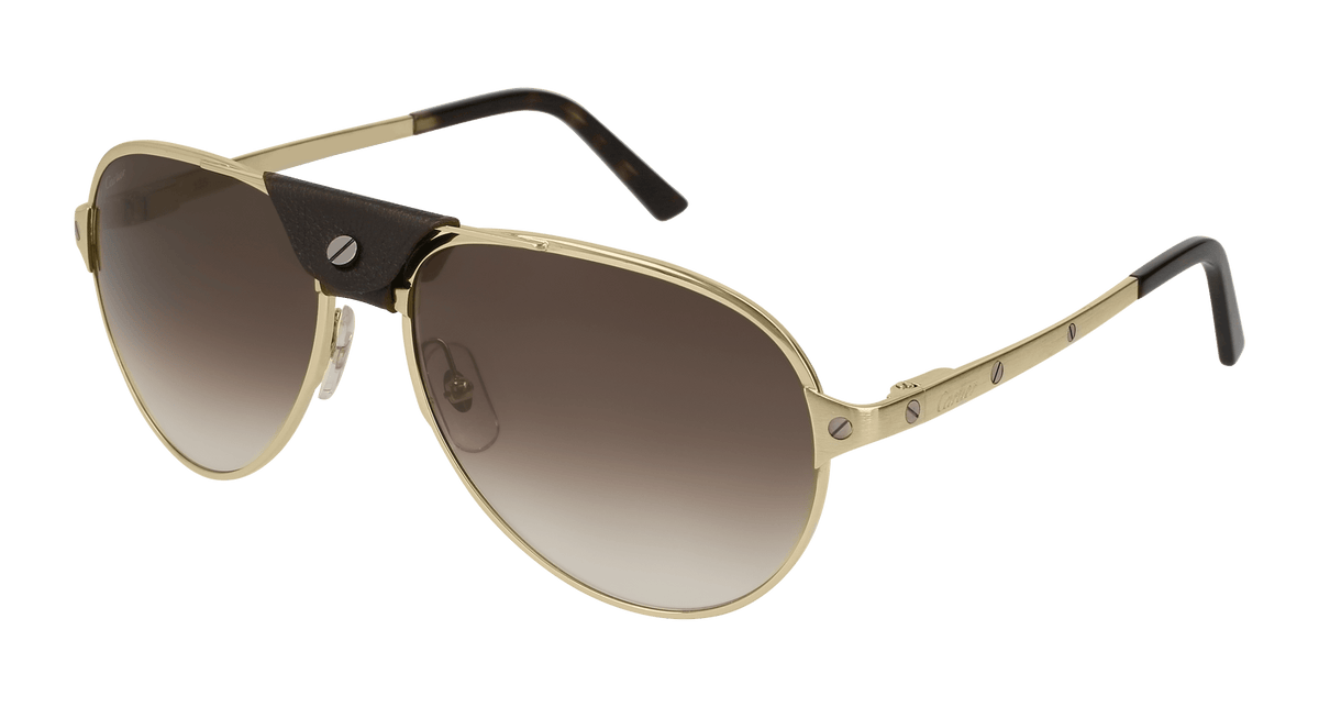 Cartier CT0034S Sunglasses - Gold / Brown (008)