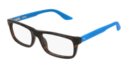Puma PJ0009O Eyeglasses - Havana / Transparent (008)