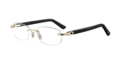 Cartier CT0048O