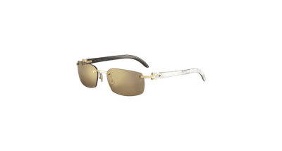 Cartier CT0046S