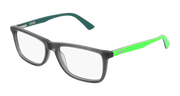 Puma PJ0020O Eyeglasses - Grey / Transparent (008)