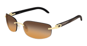 Cartier CT0020RS Sunglasses - Gold / Brown (001)