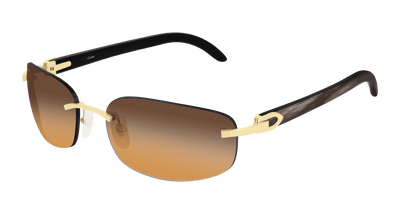 Cartier CT0020RS