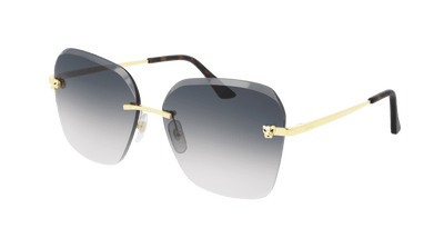 Cartier CT0147S
