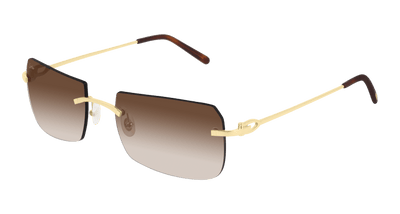 Cartier CT0006RS