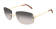 Cartier CT0008RS Sunglasses - Gold / Grey (001)