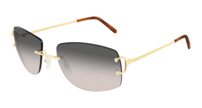 Cartier CT0008RS