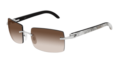 Cartier CT0019RS