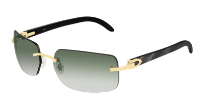 Cartier CT0022RS