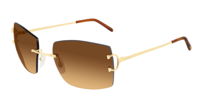 Cartier CT0009RS