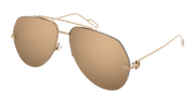 Cartier CT0170S Sunglasses - Copper / Gold (001)