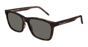 Saint Laurent SL 318 Sunglasses - Havana / Grey (002)