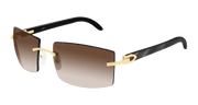 Cartier CT0021RS Sunglasses - Gold / Brown (001)