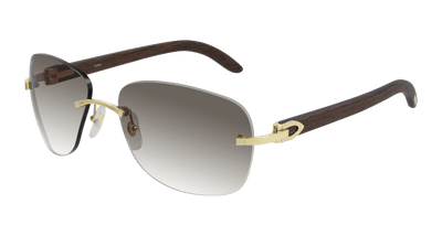 Cartier CT0014RS