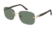 Cartier CT0227S Sunglasses - Gold / Green (002)
