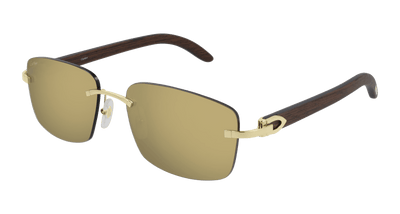 Cartier CT0013RS