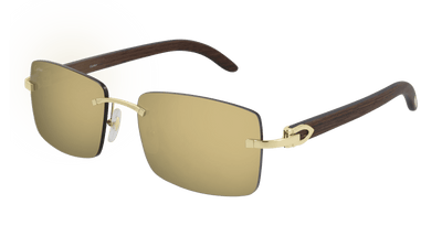 Cartier CT0012RS
