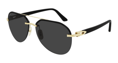 Cartier CT0275S