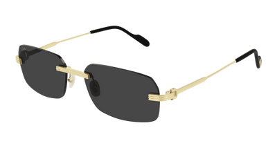 Cartier CT0271S