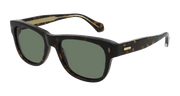 Cartier CT0277S Sunglasses - Havana / Green (002)